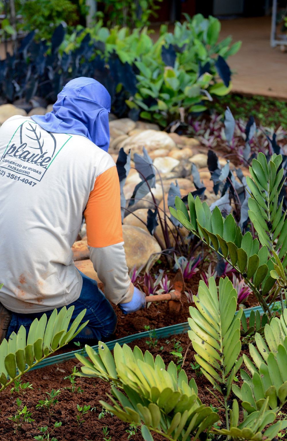 Profissional da Plante Garden plantando mudas em um jardim